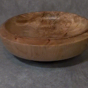 Big Leaf Maple Burl